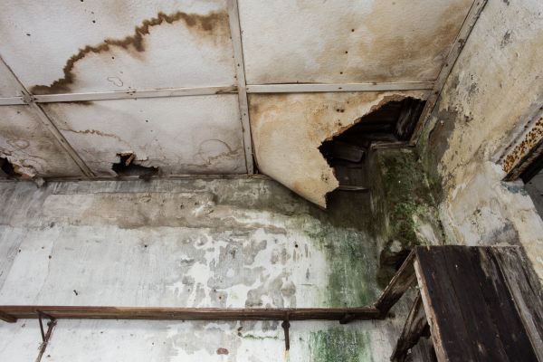 Cost of Water Damage Service in Warwick