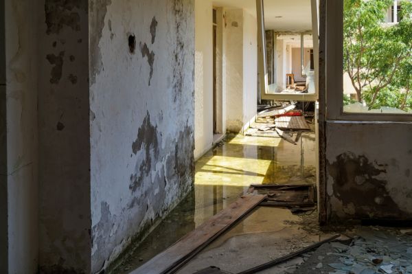Cost of Water Removal Service in Warwick